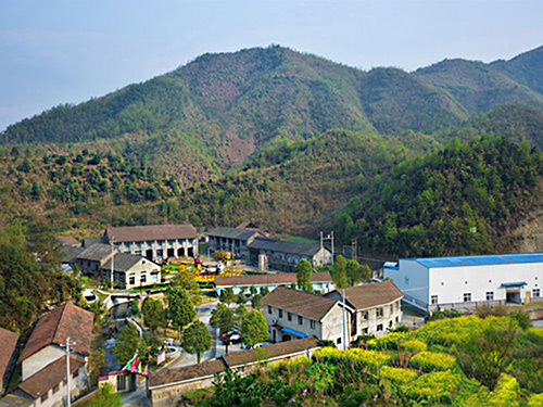 热烈祝贺宝威官方版网站登录入口正式上线！